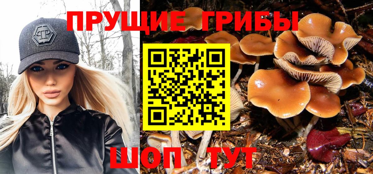 Псилоцибиновые грибы мухоморы Анапа